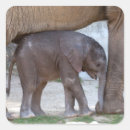 Search for elephant love stickers Lovely