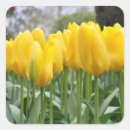 Search for yellow tulip stickers Floral