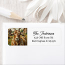 Search for goat return address labels Barn