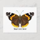 Search for admiration postcards For her