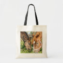 Search for foal accessories Horse