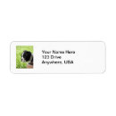 Search for boston terrier return address labels Pets