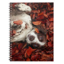 Search for animal notebooks Dog