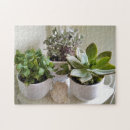 Search for succulent puzzles Flowers