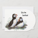 Search for puffin invitations Animal