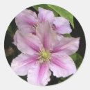Search for sun flower stickers Pink