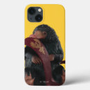 Search for secrets iphone cases Wizarding wold