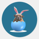 Search for colored eggs stickers Vintage