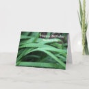 Search for brother in law birthday cards Green