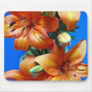 Search for tiger lily mouse mats Nature
