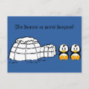 Search for igloo Animal