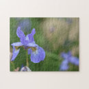 Search for iris puzzles Nature