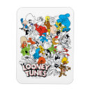 Search for road runner magnets Taz