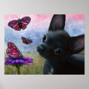 Search for lucy posters Flower