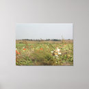 Search for patch photography Pumpkin