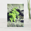 Search for early spring cards Green