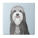 Search for collie tiles Cute