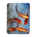 Search for grace magnets Fish