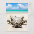Search for sunbath postcards Ocean