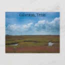 Search for marsh postcards Swamp