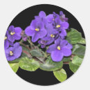 Search for african violet stickers Blue