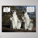 Search for primates posters Funny