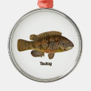 Search for bottom fishing Seafood