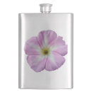 Search for bindweed kitchen dining Flower