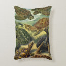 Search for tortoise cushions Reptiles