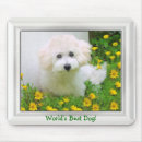 Search for frame template electronics Dog