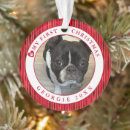 Search for cat picture christmas tree decorations My first christmas