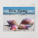Search for tropical moving announcement cards Ocean