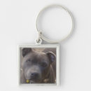 Search for staffy key rings Terrier