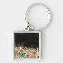 Search for known key rings Earth