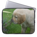 Search for stretch electronics Puppy