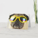 Search for goggle cards Dog