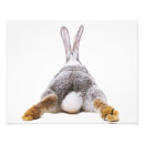 Search for bunnies art Wildlife