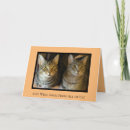 Search for cat get well cards Support