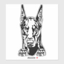 Search for doberman bumper stickers Pet