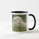 Search for privateer mugs Male