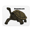 Search for tortoise magnets Ecuador