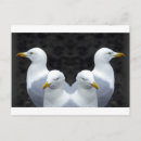 Search for mirror image postcards White