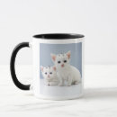 Search for purity mugs Innocence