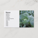 Search for cabbage business cards Green