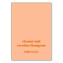 Search for bride and groom place cards Vintage