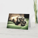 Search for new arrival cards Shower