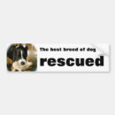 Search for puppy bumper stickers Rescue