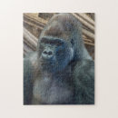 Search for gorilla puzzles Wildlife