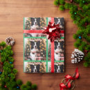 Search for border collie christmas wrapping paper Cute