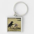 Search for labrador image key rings Animal
